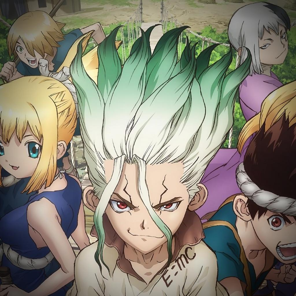 DR STONE