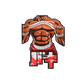 BAKI POSE V2