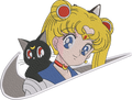 SAILOR MOON SWOOSH