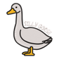 SILLY GOOSE