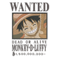 DISEÑO BORDADO BOUNTY LUFFY
