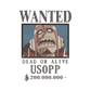 DISEÑO BORDADO BOUNTY USOPP