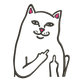 DISEÑO BORDADO GATO SACANDO DEDO